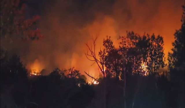 Ormanlık alanda çıkan yangın yeniden alevlendi