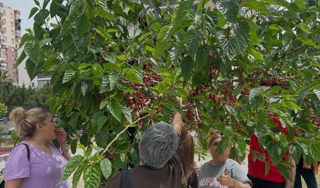 Mezitli Engelli Meclisinde Emekler Meyveye Durdu