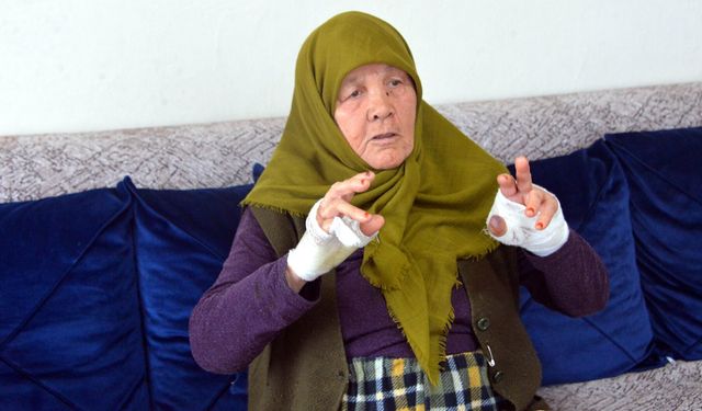 85 yaşındaki komşusunu bıçakla yaralayıp gasbetti