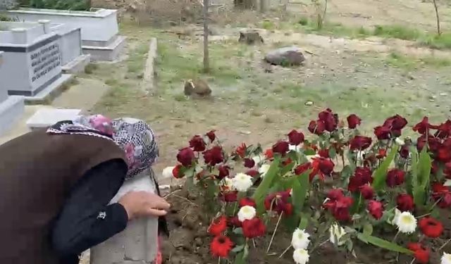 Küçük Adnan’ın ölümü sonrası teyzesinden yürek burkan feryat