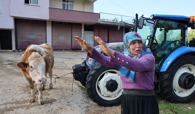 "Bir anda sel geldi, ahırın üstünü aştı"
