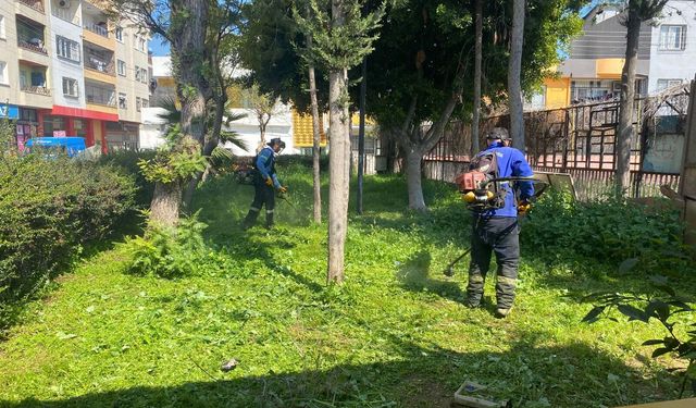 Akdeniz’de yeşil seferberlik