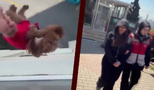 Köpeği camdan sarkıtan kadın yakalandı
