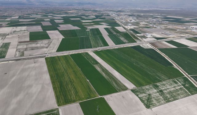 Yağışlarla hububatta 500 bin ton rekolte artışı bekleniyor