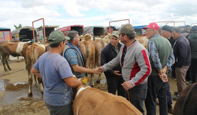 Büyükbaş kurbanlıkta referans fiyat belirlendi