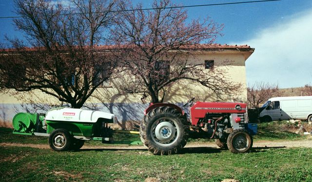 Mersin’de hibe başvuruları için zaman daraldı