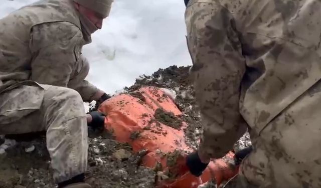 Van ve Hakkari'de 446 kilo uyarıcı madde ele geçirildi