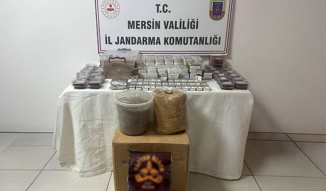 Mersin’de kaçak sigara operasyonu