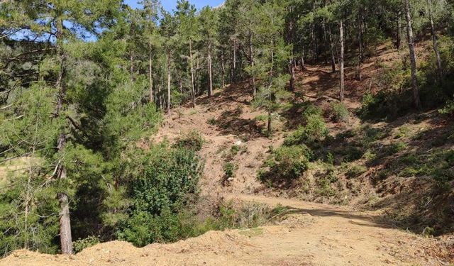Anamur, Kızılaliler’de boksit ve beton kıskacı