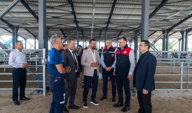 Kozan’da Canlı Hayvan Pazarı yerinde incelendi