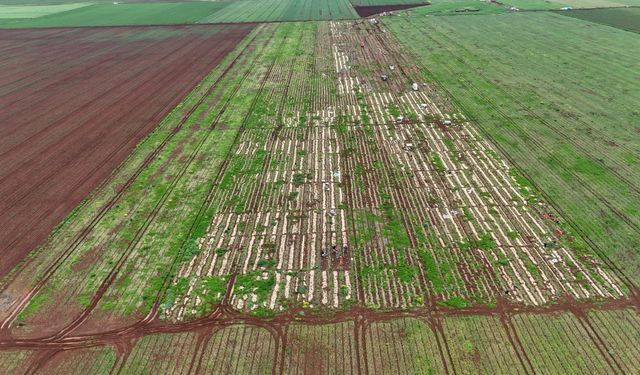 Ceviz büyüklüğünde dolu, tarım arazilerine zarar verdi