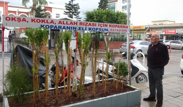 Annesinin hatırası için 40 yıldır reyhan yetiştiriyor