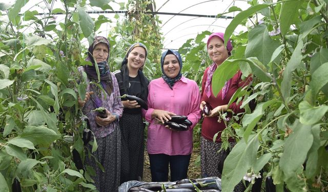Nineden toruna aile ekonomisine katkı sağlıyorlar