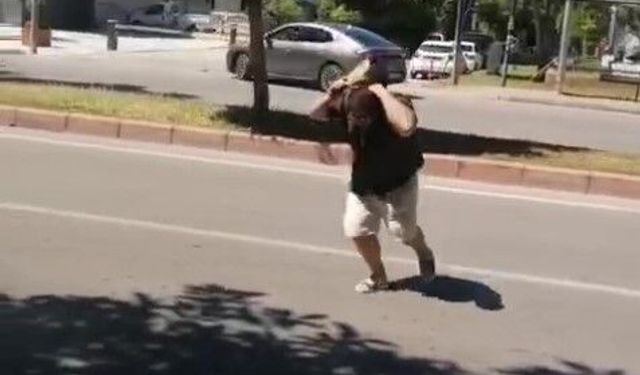 Kargalar peşini bırakmadı: Tatilci zor anlar yaşadı