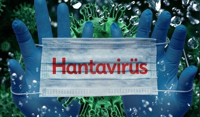 Hantavirüs şikayetleri artıyor