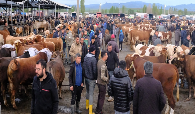 Türkiye’nin en büyük canlı hayvan pazarında bayram hareketliliği
