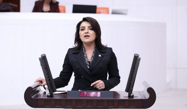 CHP'li Kış: "Gençler artık hayal kuramıyor"