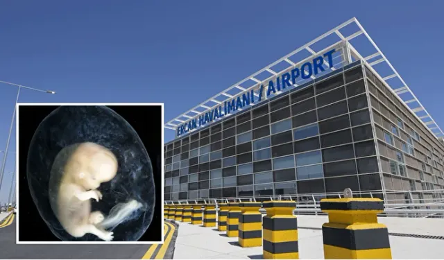 4 Embriyo ile Yurt Dışına Çıkış Girişimi: 3 Tutuklama