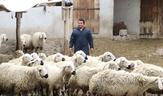 Köyüne döndü, hayvan sevgisiyle sağlığına kavuştu