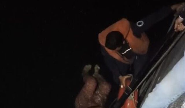 Seyhan Nehri'ne düşen kadını itfaiye ekibi kurtardı
