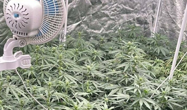 Kuşadası'nda uyuşturucu operasyonu; 3 gözaltı