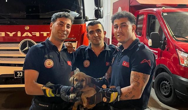 Otomobil motoruna sıkışan köpeği, Mersin itfaiyesi kurtardı