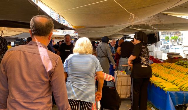 Mersin semt pazarında “şampiyon” avokado oldu
