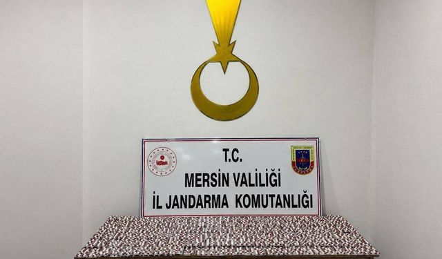 Mersin'de 7 bin 256 sentetik hap ele geçirildi