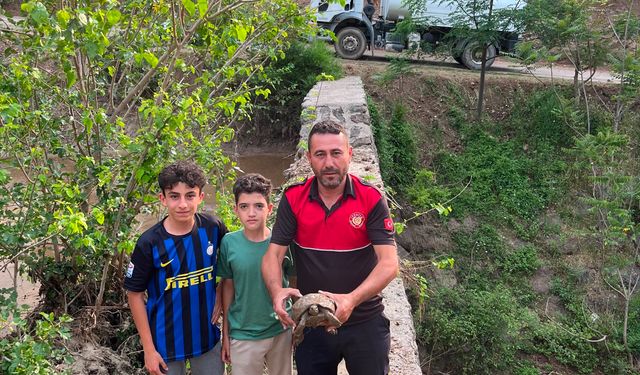 Çamura saplanan kaplumbağayı itfaiye kurtardı