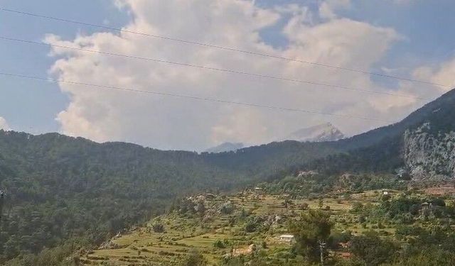 Yıldırım düştü, 2 hektarlık alan zarar gördü