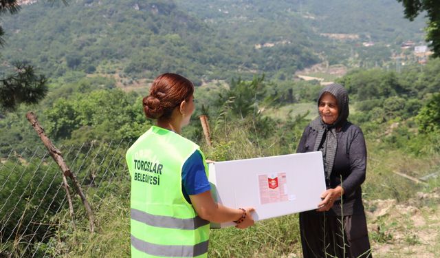 Toroslar Belediyesi’nden Akdeniz meyve sineğine karşı üreticiye destek