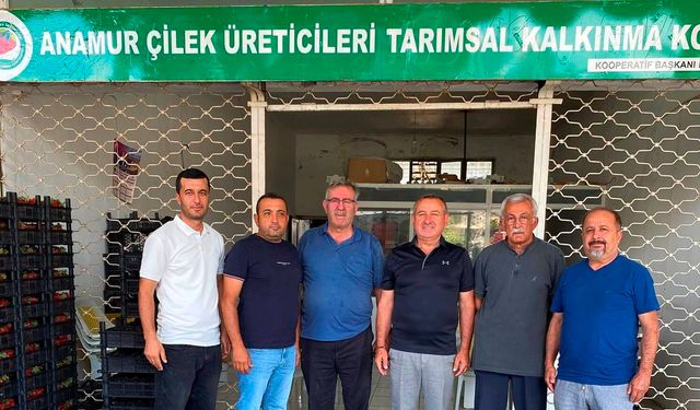 Çilek üreticisinden ‘sessizce tükeniyoruz’ feryadı