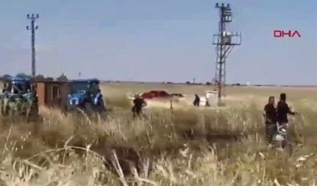 Arpa ekili tarlada yangın çıktı: 10 dönüm alan zarar gördü