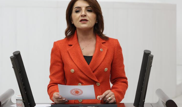 Gülcan Kış: Öğretmenlerin mağduriyeti daha fazla görmezden gelinemez