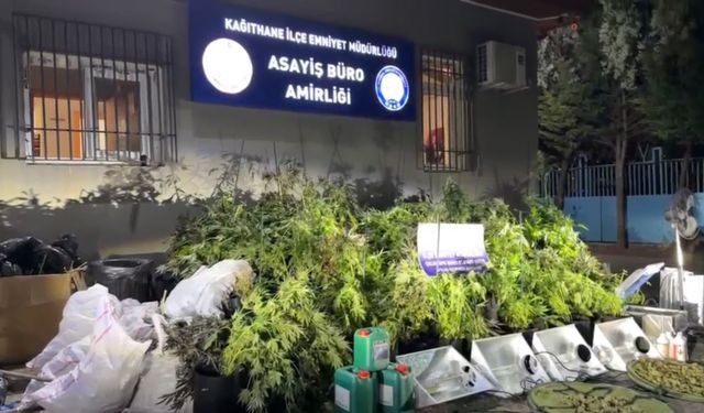 Evi seraya çevirip 30 milyon lira değerinde madde üretmişler