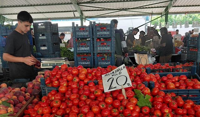 Pazarda domates 20 lirayı gördü