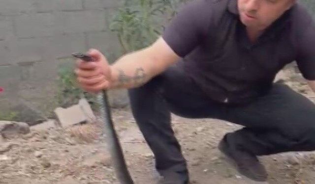 Kümese giren 2 metrelik yılan elinden ısırdı