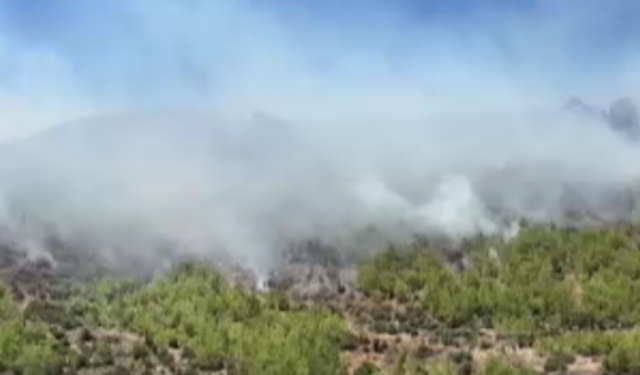 Aydıncık'ta 80 ev tahliye edildi