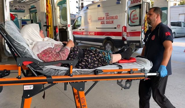 Bursa’da tarım işçilerini taşıyan minibüs devrildi: 7 yaralı