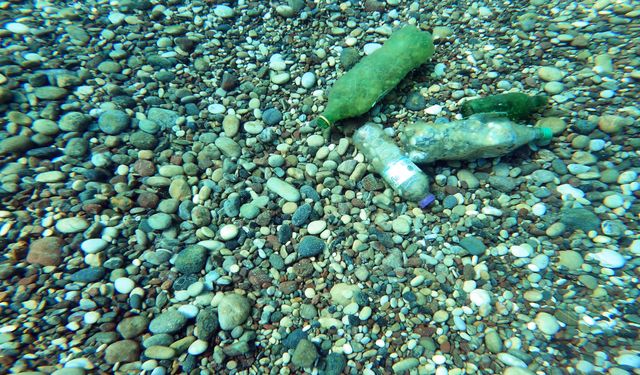 Pet şişeye taş doldurup denize atıyorlar