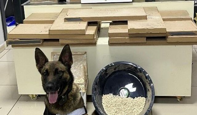 Mersin'de zehir tacirlerine operasyon düzenlendi