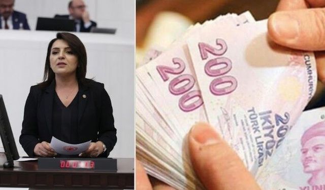 CHP Mersin Milletvekili Kış: "Tasarruf vatandaşa, borç ve faiz Hazine'ye"