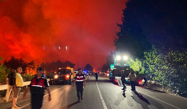 Fethiye’de de orman yangını çıktı
