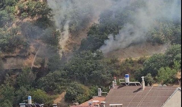 Kastamonu'da orman yangını yerleşim yerine yaklaştı