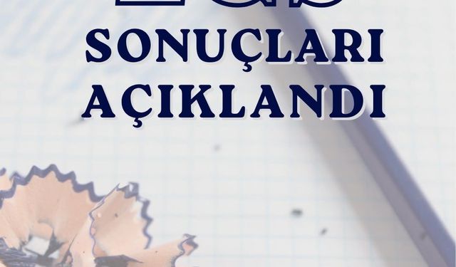 LGS sonuçları meb.gov.tr'de erişime açıldı