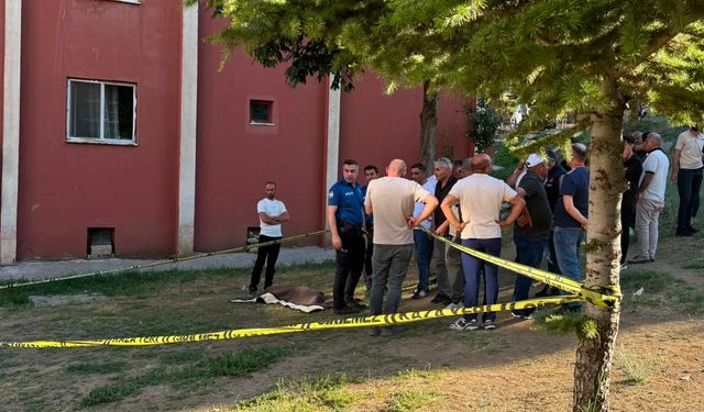 Manevra yapan ambulansın çarptığı Muhammet, hayatını kaybetti