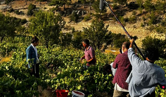 Mersin, sinema sektörünün yeni çekim merkezi oluyor