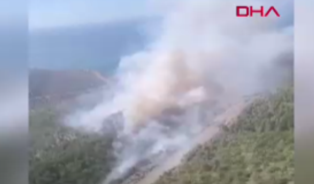 Mersin'de orman yangını başladı!