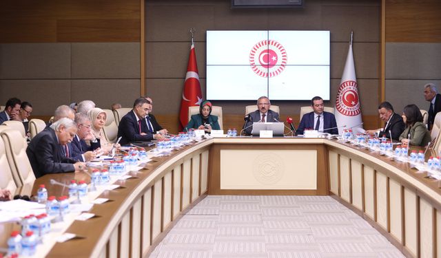 Okul Olaylarını Araştırma Komisyonu'ndaki vekillerden 'bireysel silahların sınırlandırılması' önerisi
