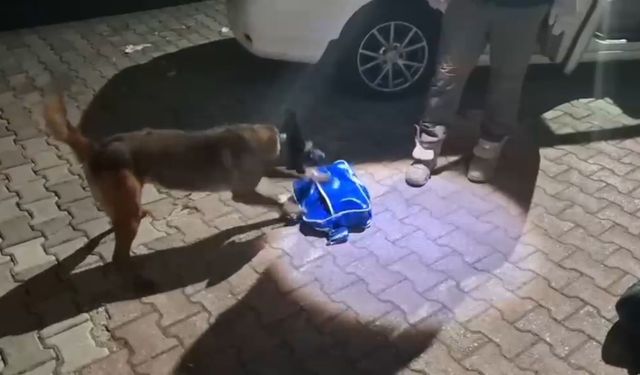 Sakarya'da uyuşturucu operasyonu: 2 tutuklama